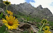 Pizzo dei Tre Signori (2554 m) da Ornica il 19 luglio 2020